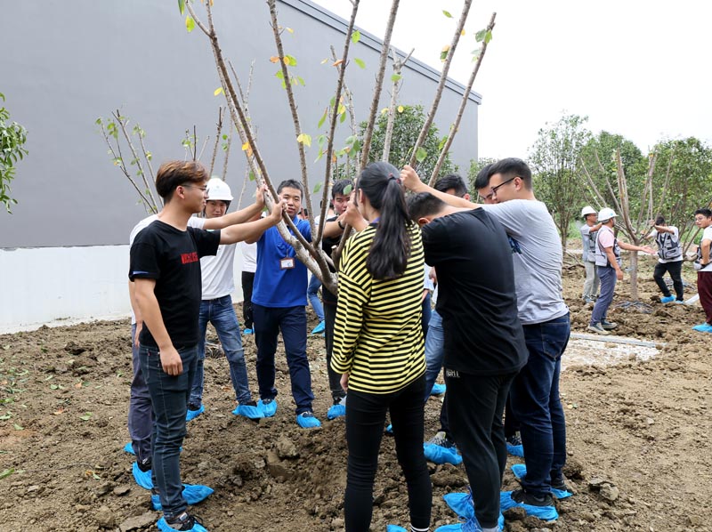 7員(yuán)工種植web.jpg
